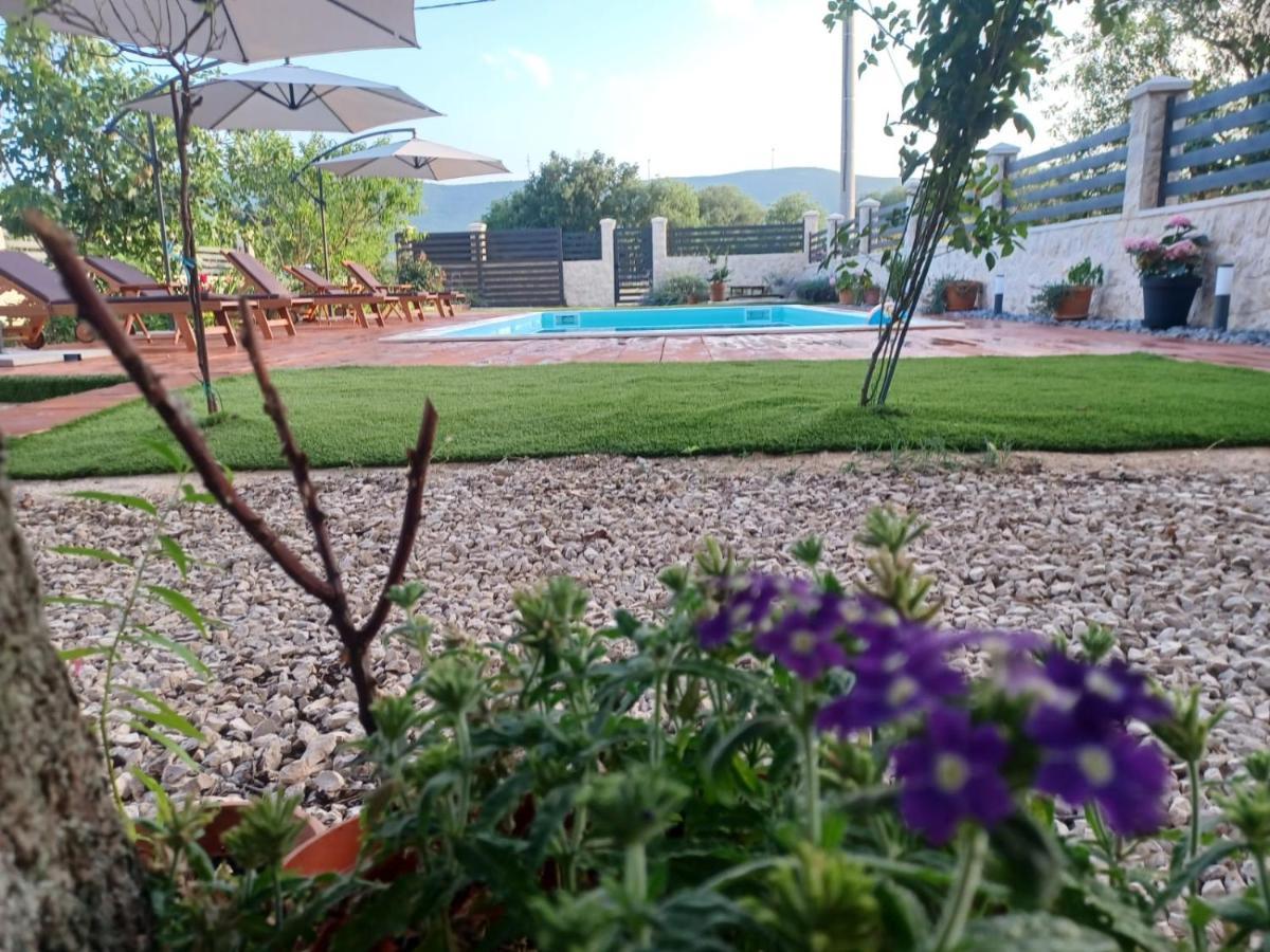 Apartment Karla Snb لازوفاك المظهر الخارجي الصورة